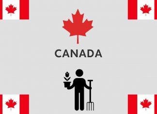 Farm Worker Jobs in Canada with Visa Sponsorship