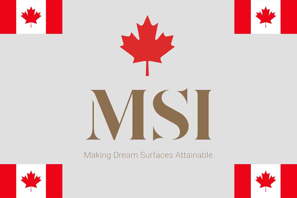 Job Openings at MS International Inc - Quebec, Canada