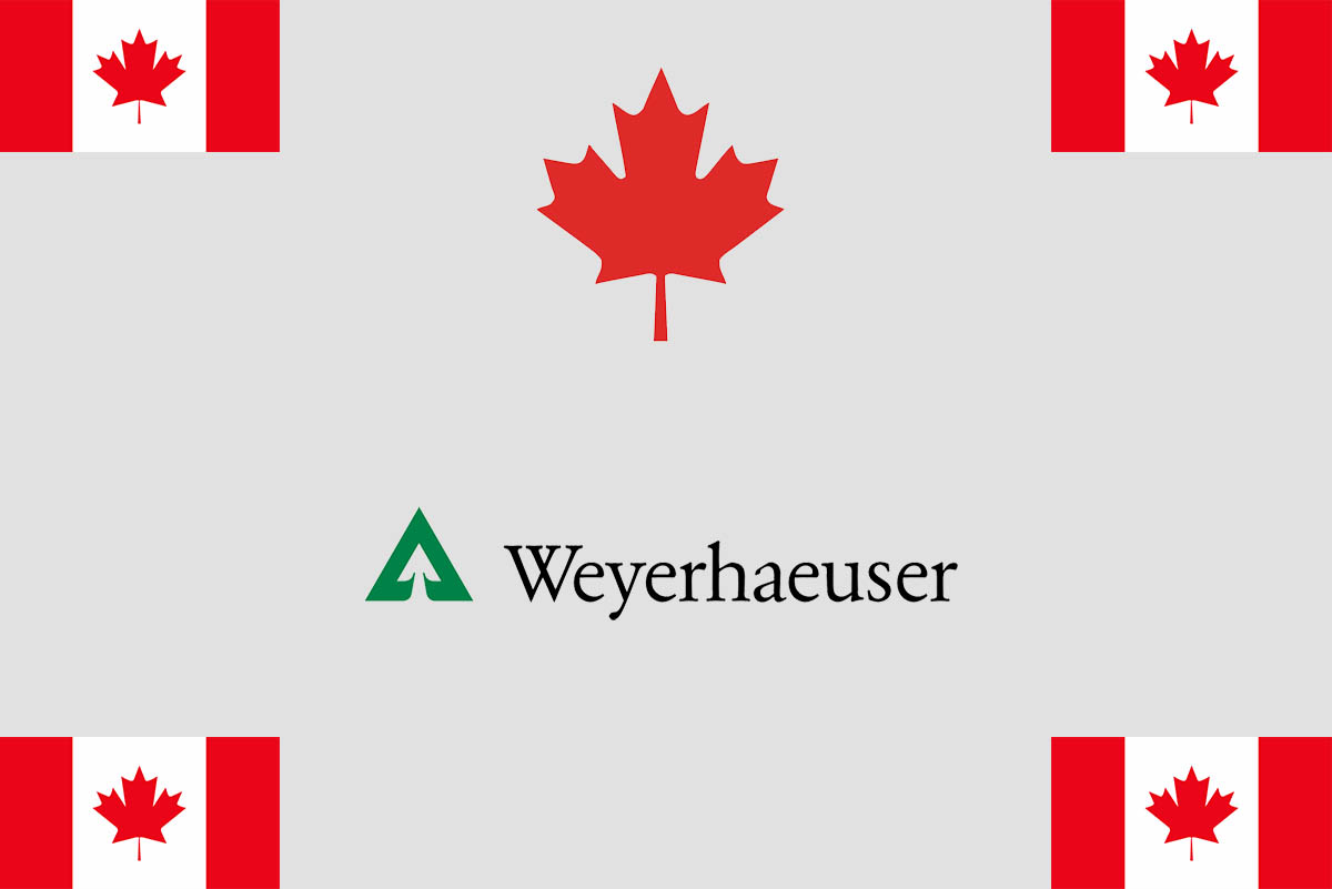 Job Openings at Weyerhaeuser